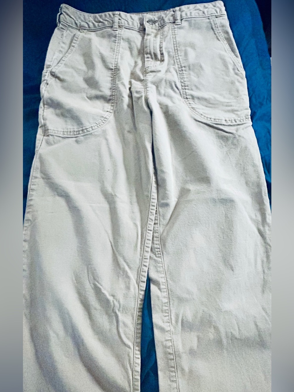 Patagonia Utility Putty/Olive Wide Leg Women's Pants